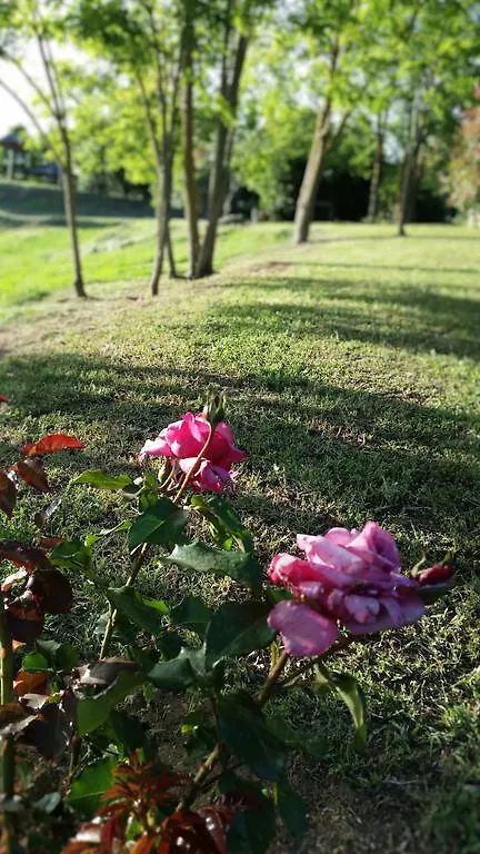 Farm stay Agriturismo Bonzalone Villa Montiano