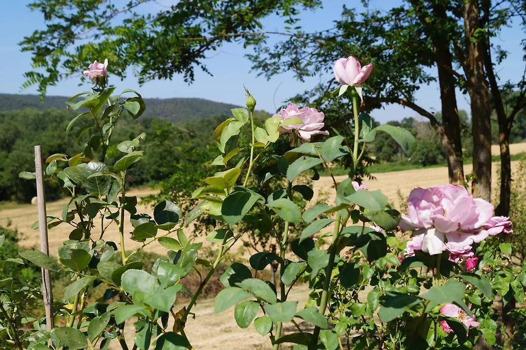 Agriturismo Bonzalone Villa Montiano Montiano (Tuscany)